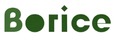 Borice Limited